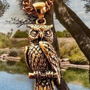 Solid Copper Owl Pendant and chain set #CPD1619